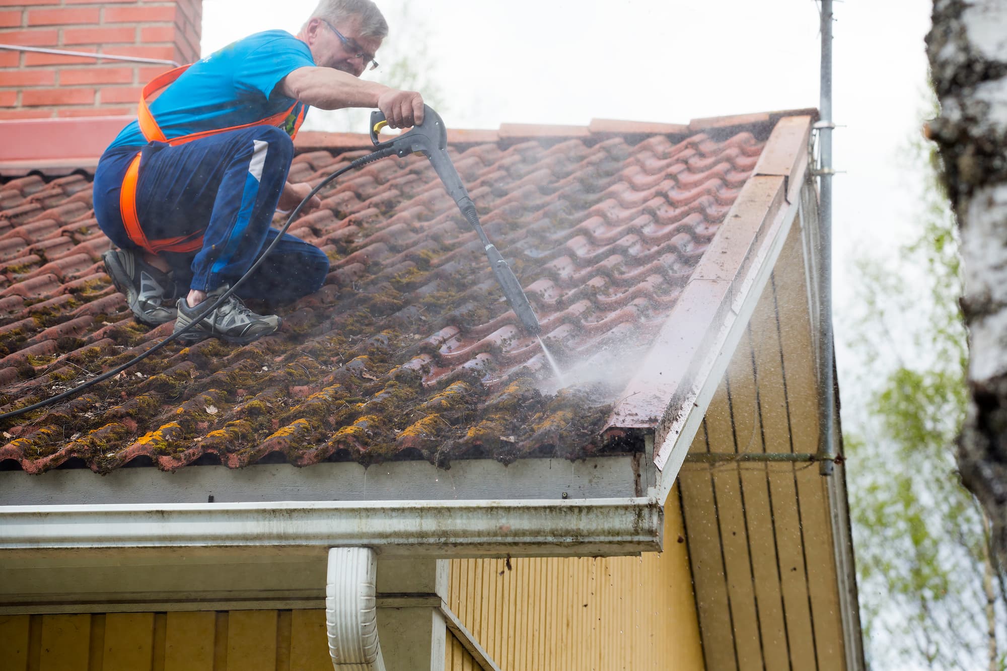 Nettoyage et rénovation de toiture sur les environs de Colmar et Strasbourg Saverne